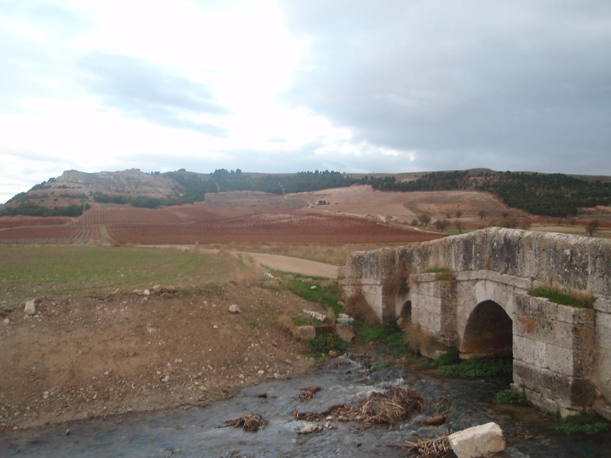 Alojamiento Rural Pueblo De La Ribera Penafiel Exterior photo